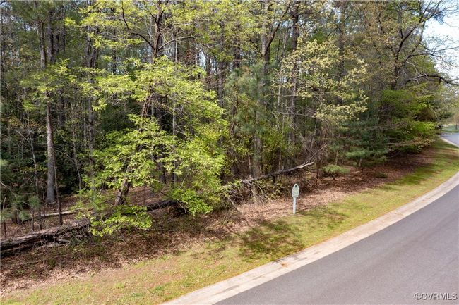 View of road featuring curbs and a view of trees | Image 5