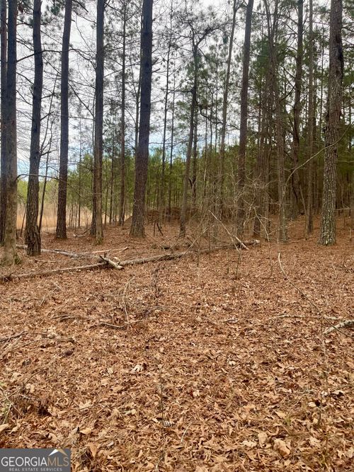 lot-3-0 Padgett Rd, Senoia, GA, 30276 | Card Image