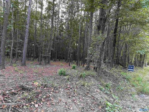 lot-24-24 County Road 1011, Centre, AL, 35960 | Card Image
