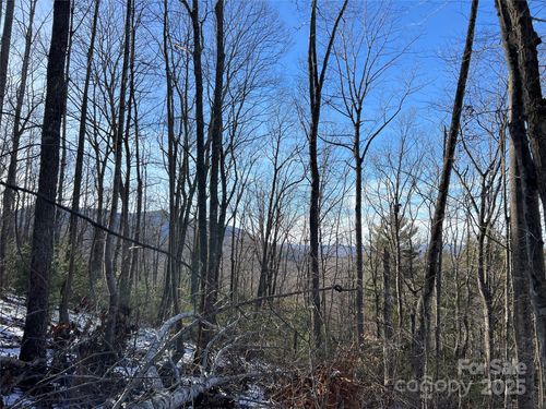TBD (Lot 8) Woodland Rdg, Lansing, NC, 28643 | Card Image