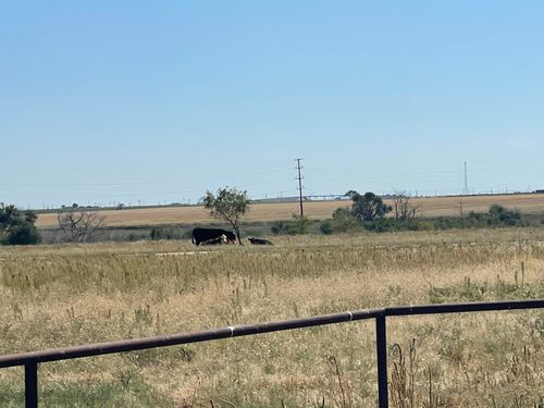 17616 N Private Road 2220, Abernathy, TX, 79311 | Card Image