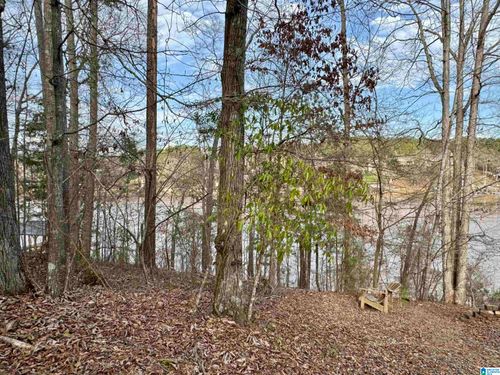 78-Lot 78 Wright Way Drive, Wedowee, AL, 36278 | Card Image