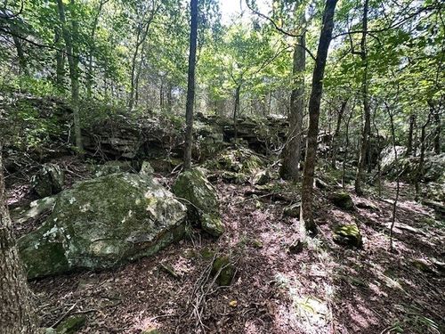 10397 Mortensen Rd, Lincoln, AR, 72744-9456 | Card Image