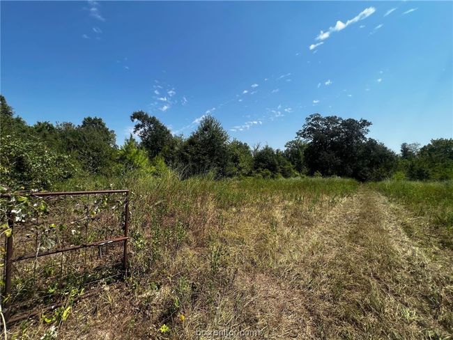 30 Fm 1486, Home with 0 bedrooms, 0 bathrooms and null parking in Richards TX | Image 4