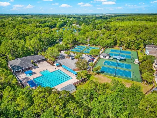 10751 Tavistock Dr, House other with 4 bedrooms, 4 bathrooms and null parking in Tampa FL | Image 69
