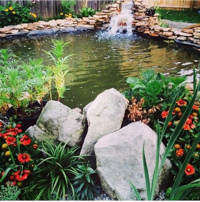 1203 N Sharpsville Ave, Sold in Sharon Zoocasa