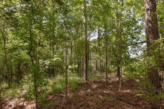 7933 Maple Ln, Home with 0 bedrooms, 0 bathrooms and null parking in Tyler TX | Image 5