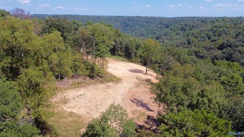 4.63 acres Lee St, Guntersville, AL, 35976 | Card Image