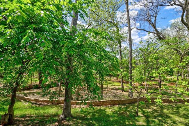 View of nature | Image 48