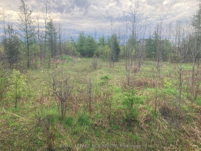 PtLot 8 Con 2 N/A, Home with 0 bedrooms, 0 bathrooms and null parking in Amaranth ON | Image 11