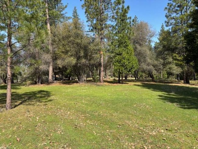 19292 Shawnee Trl, Home with 0 bedrooms, 0 bathrooms and null parking in Mokelumne Hill CA | Image 19