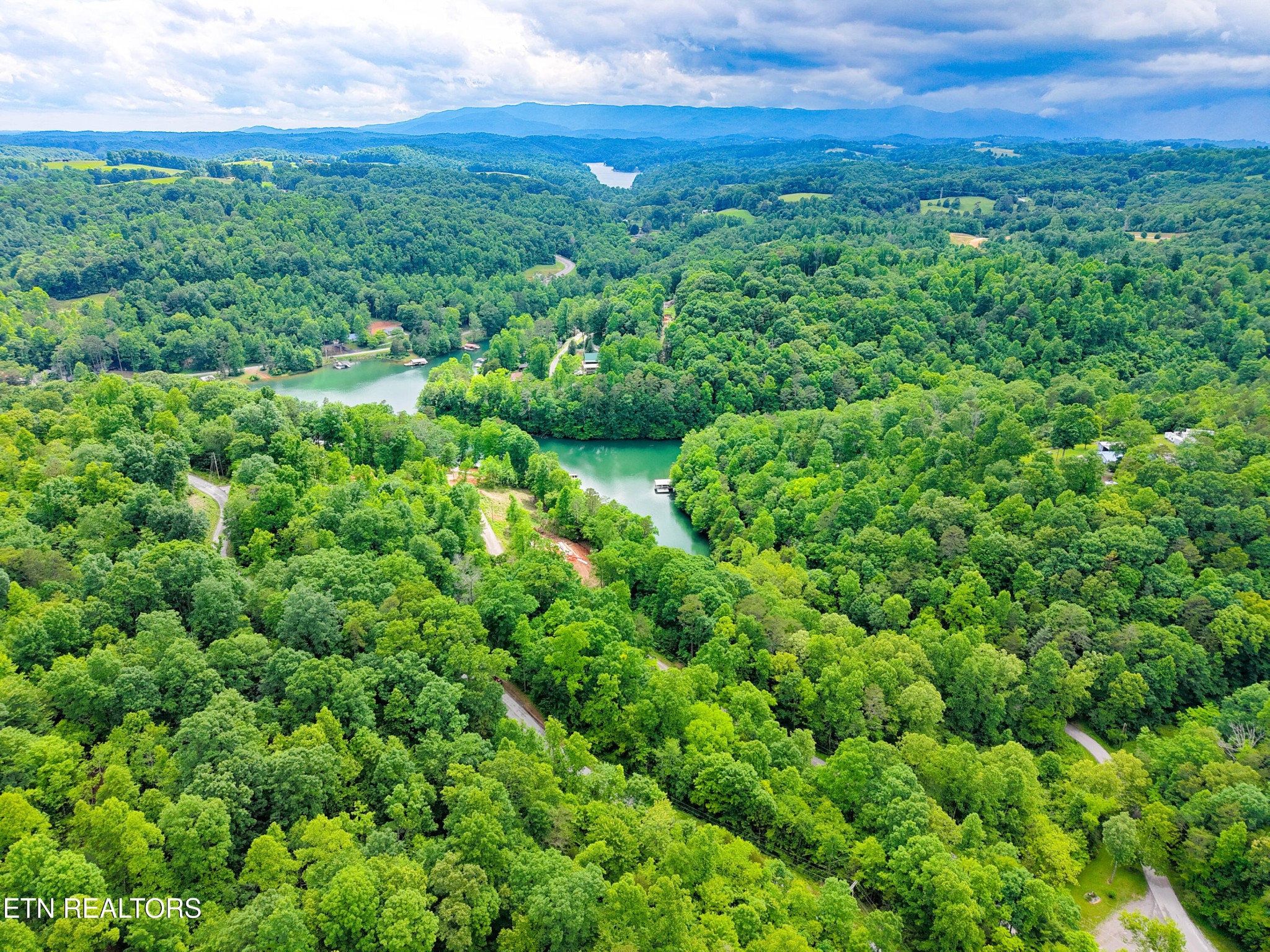 Land in La Follette 4