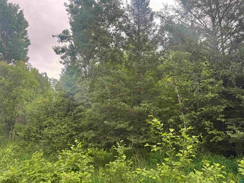 3xxx Quaal Rd, Forbes, MN, 55738 | Card Image