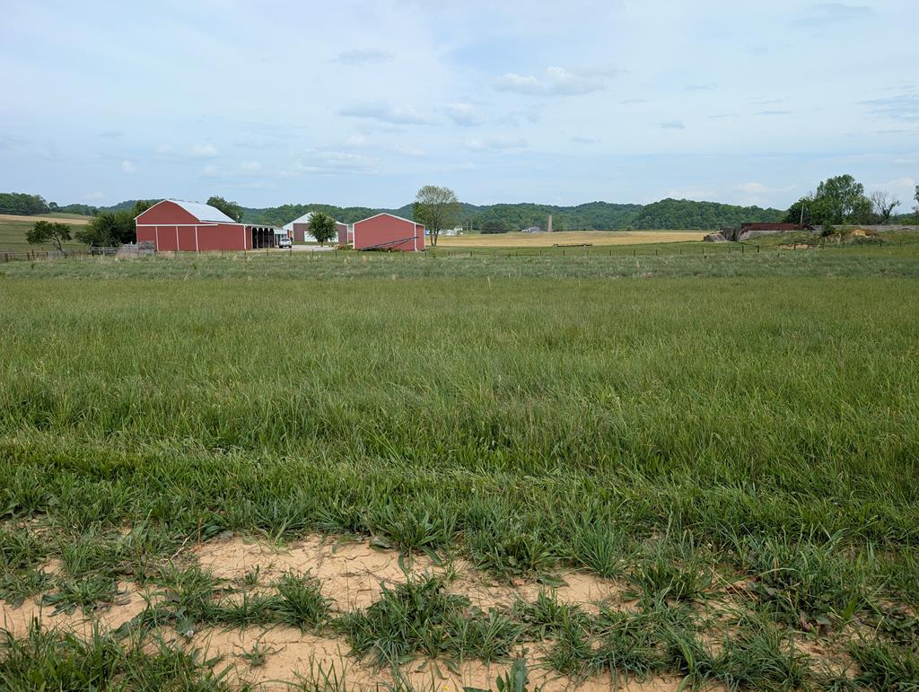 Land in Burkesville