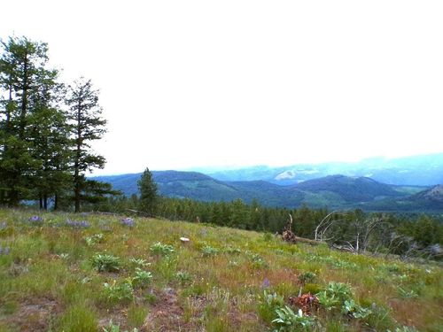 #B Vista View Ln, Inchelium, WA, 99141 | Card Image