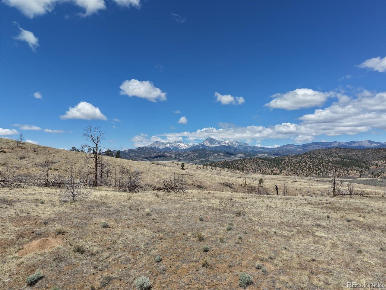 Land in Fort Garland