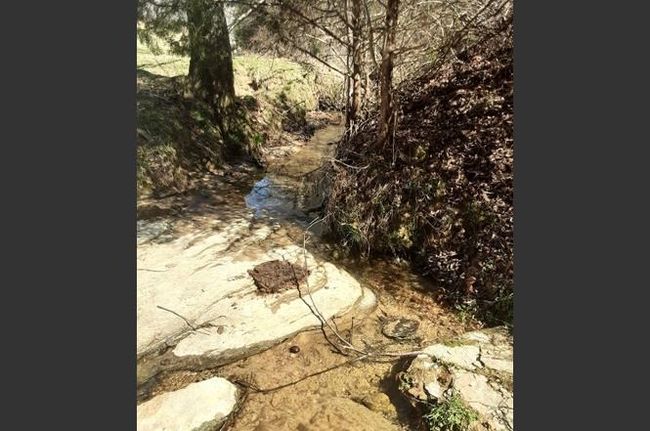 33.64 ac Davis Rd, Home with 0 bedrooms, 0 bathrooms and null parking in Livingston TN | Image 7