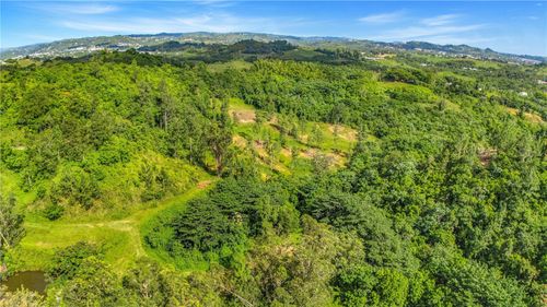 63 Sector Monticello, Cidra, PR, 00739 | Card Image