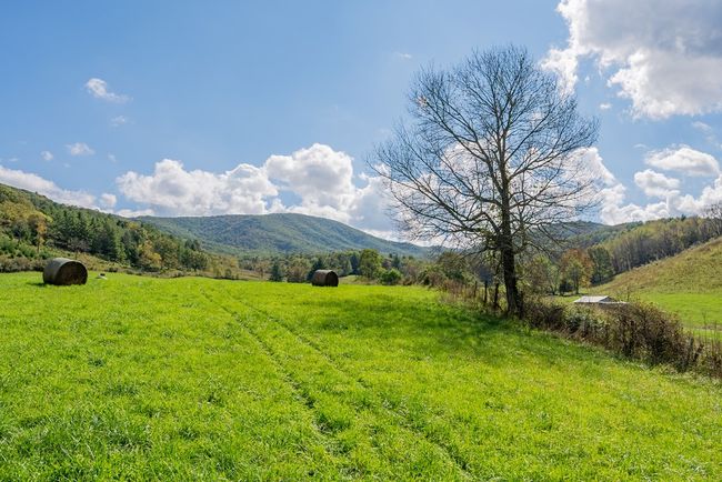 214 Comers Creek Rd, Home with 0 bedrooms, 0 bathrooms and null parking in Sugar Grove VA | Image 33