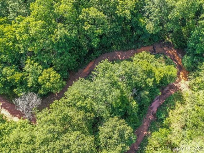 Year-round Creek | Image 15