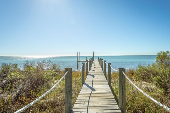 Grab a picnic on the dock | Image 41