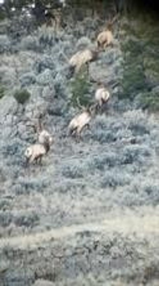 3021 Bighorn Rd, Home with 0 bedrooms, 0 bathrooms and null parking in Melrose MT | Image 14