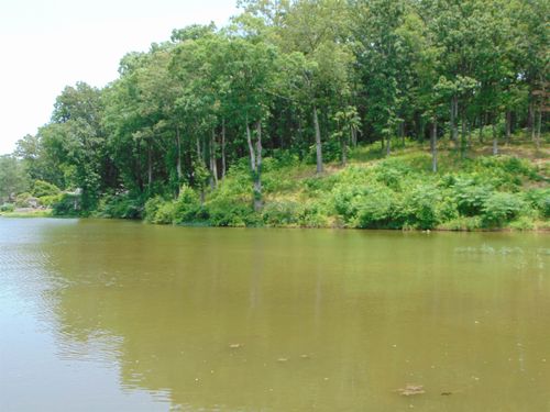 002 Wilson Lake Shrs, Muscle Shoals, AL, 35661-4001 | Card Image