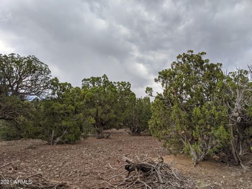 79-lot 79 Ranch Road, Vernon, AZ, 85940 | Card Image