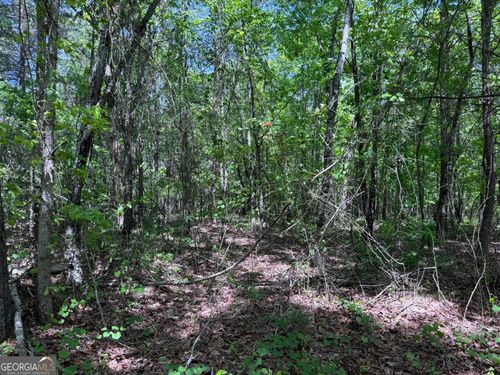 0 Hwy 17 24.19 Acres, Eastanollee, GA, 30538 | Card Image