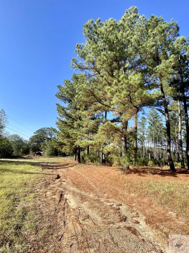 1407 Miller County 3, Home with 0 bedrooms, 0 bathrooms and null parking in Doddridge AR | Image 7