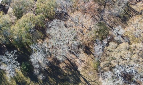 0 Belle Terre Dr, Huffman, TX, 77336 | Card Image