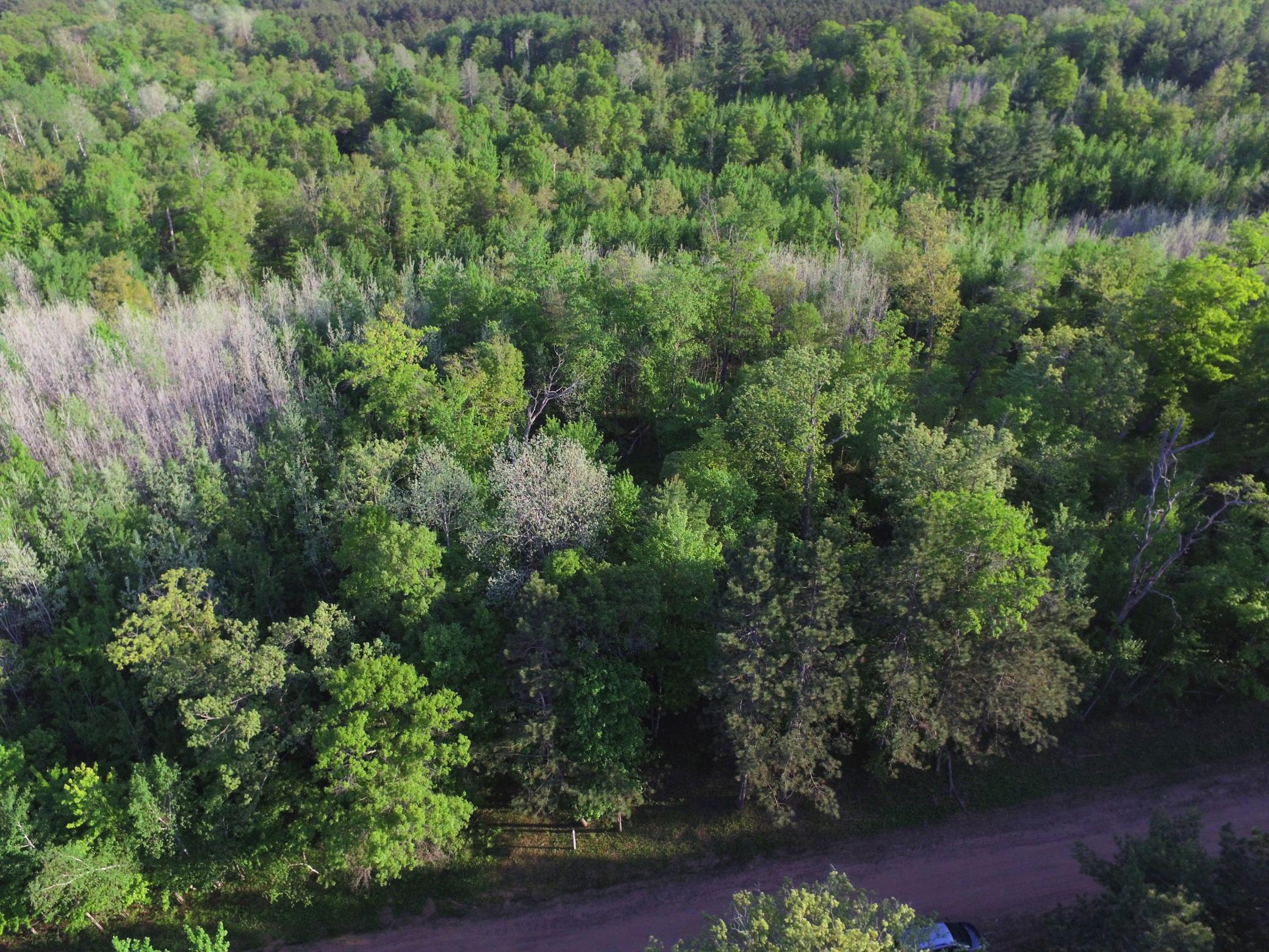 Land in Webster 3