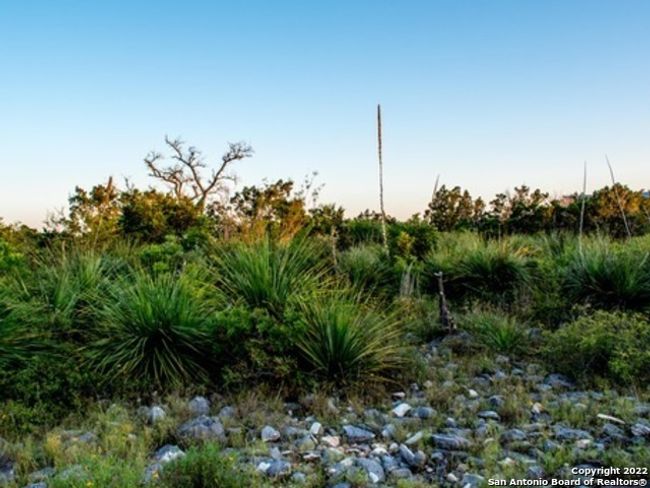 124 County Road 2801 E, Home with 0 bedrooms, 0 bathrooms and null parking in Mico TX | Image 12