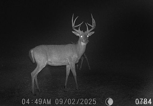 2160 State Route Y, Harrisburg, MO, 65256-9466 | Card Image