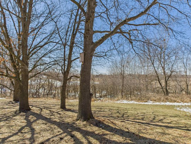 GREAT Yard!!! | Image 26
