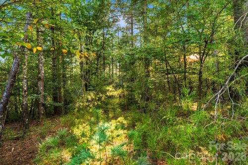 107-60 Kingfisher Trce, Nebo, NC, 28761 | Card Image