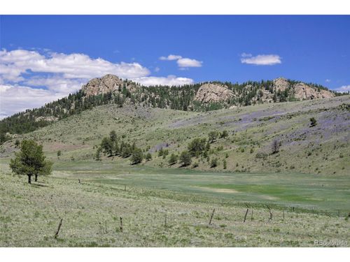 294 Wrights Ln, Guffey, CO, 80820 | Card Image