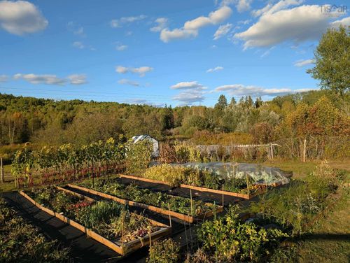 1329 Highway 321, River Philip, NS, B0M1V0 | Card Image