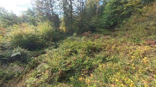 130 Lot: B, Ptn Blk: 15, Hoodsport, WA, 98548 | Card Image