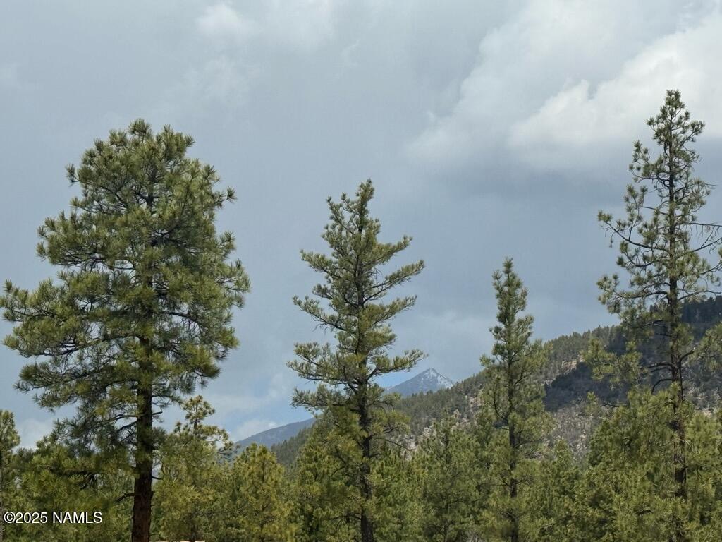 Land in Flagstaff 4