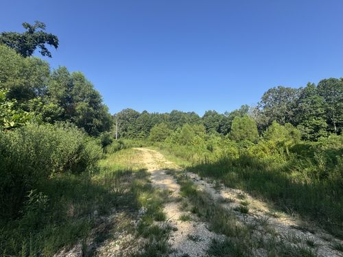 0 Stones Rd, Camden, TN, 38320 | Card Image