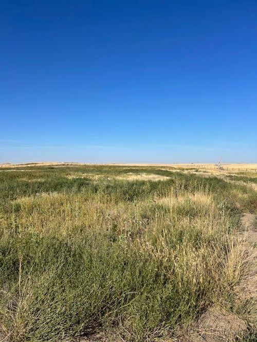 11005 Eagle Butte Rd, Dunmore, AB, T1B0L1 | Card Image