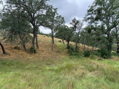 6536 Mccauley Road, Valley Springs, CA, 95252 | Card Image