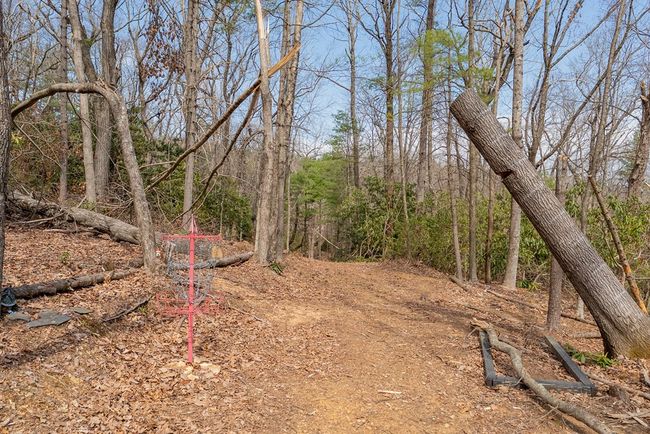 27 Glenn Pine Ln, House other with 3 bedrooms, 3 bathrooms and null parking in Fancy Gap VA | Image 52