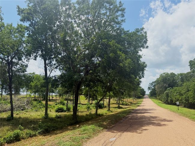 0000 Mcelroy Ln, Home with 0 bedrooms, 0 bathrooms and null parking in New Ulm TX | Image 11
