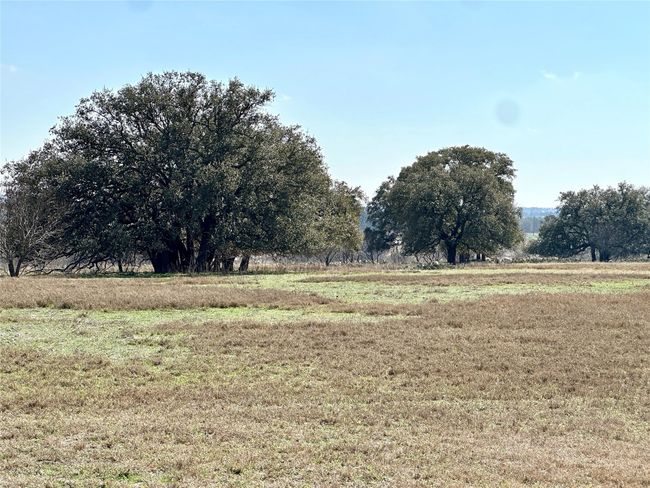 554 Us Highway 84 W, Home with 0 bedrooms, 0 bathrooms and null parking in Goldthwaite TX | Image 23