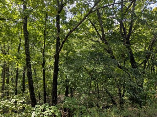 41 Thunderbird Dr, Holiday Island, AR, 72631-5100 | Card Image