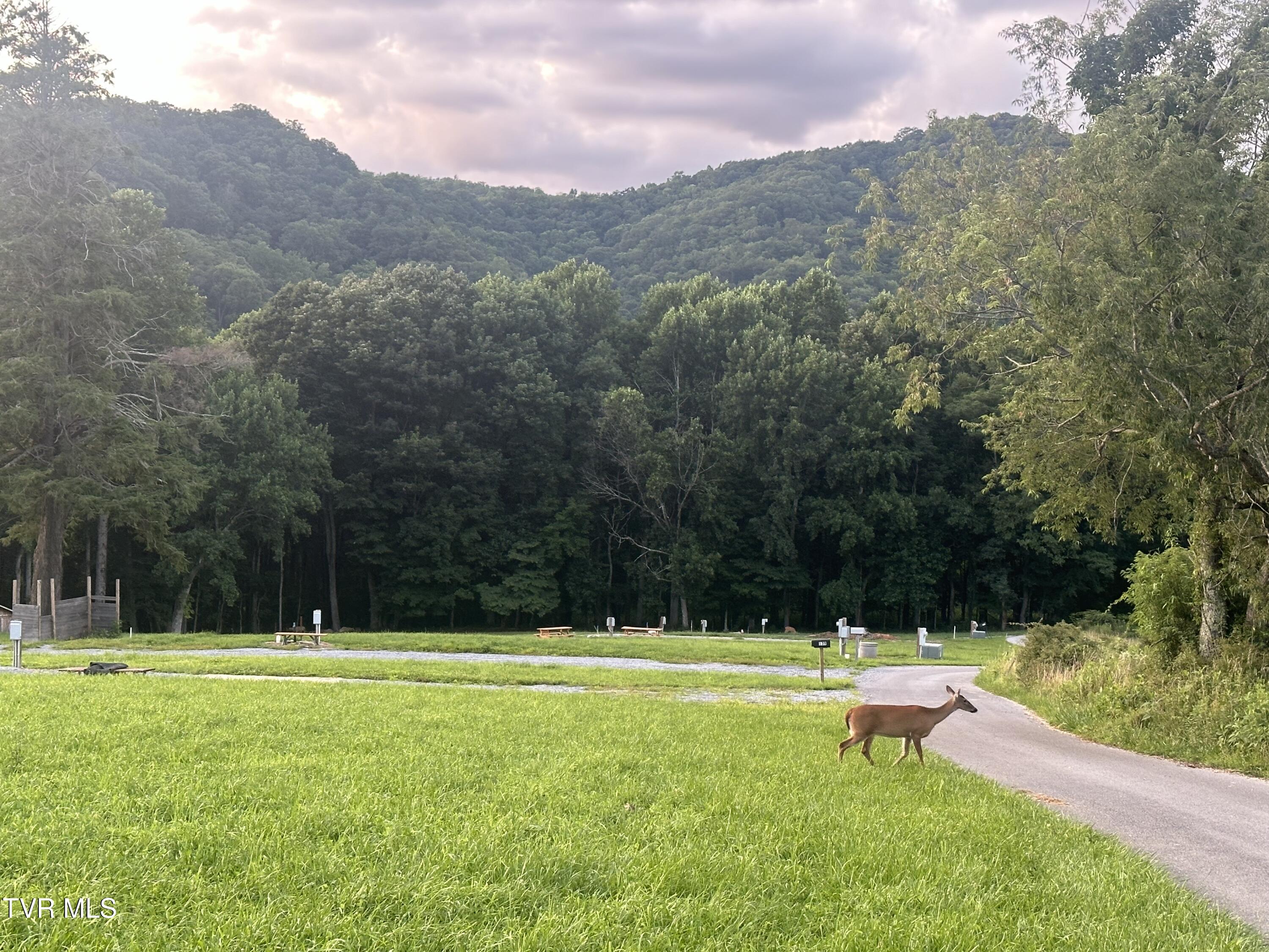 137 Dyer Rd, Roan Mountain, TN 37687