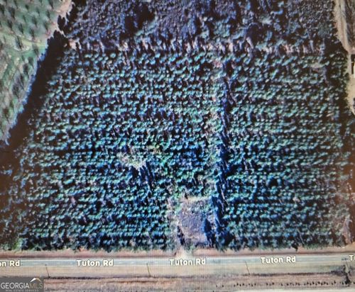 0 Tuton Rd, Baconton, GA, 31716 | Card Image