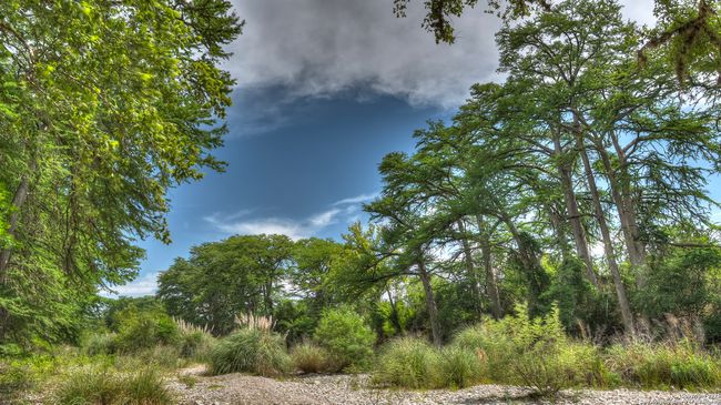 154 Weston Rd, House other with 1 bedrooms, 1 bathrooms and null parking in Leakey TX | Image 15